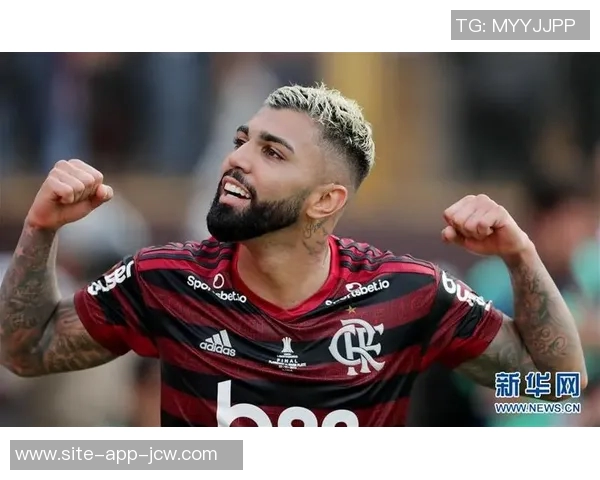 维尼修斯晒观看解放者杯决赛照片，随后庆祝母队弗拉门戈夺冠